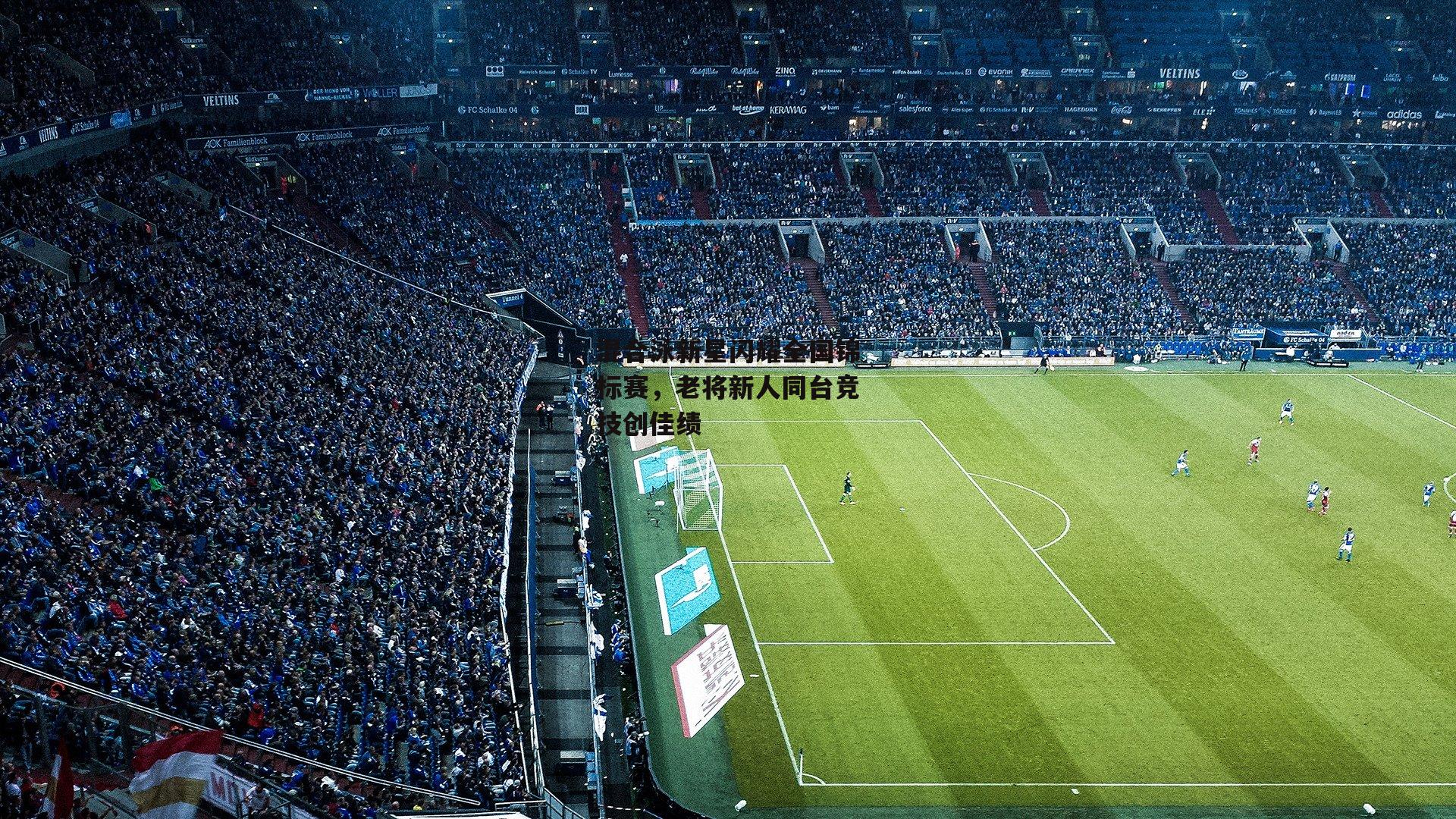 混合泳新星闪耀全国锦标赛，老将新人同台竞技创佳绩